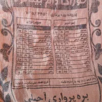 کنسانتره  بره پرواری