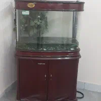 آکواریم ماهی