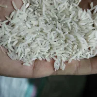 برنج فجر و دمسیاه خوش عطر|خوردنی و آشامیدنی|گنبد کاووس, |دیوار