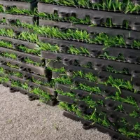 تایل چمن مصنوعی(تک عددی)|مصالح و تجهیزات ساختمان|اصفهان, همتآباد|دیوار