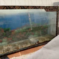 آکواریوم بزرگ