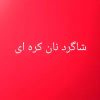 به یک شاگرد در نان کره ای نیازمندیم