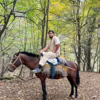 فروش فوری اسب یابو 8 ساله