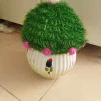 سبزه بافتنی