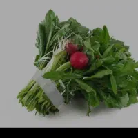 پاک کردن لوبیا سبزی خوردن
