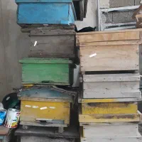 جعبه کندو کار کرده و در حد صفر