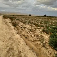 فروش زمین زراعتی ۱۹هکتار سند دار .
