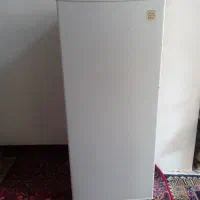 فریزر دوو