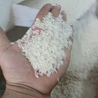 برنج فجردرجه یک عالی وخوشبخت|خوردنی و آشامیدنی|تاتار علیا, |دیوار