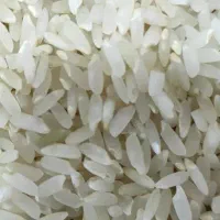 برنج کامفیروزی اعلا. یکدست|خوردنی و آشامیدنی|شیراز, شهرک گلستان شمالی|دیوار