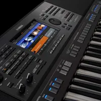 sx920|پیانو، کیبورد، آکاردئون|جلگه ماژان, |دیوار