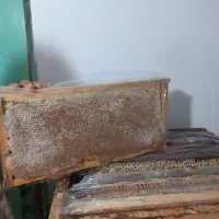 عسل(عمده و خرده)