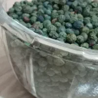 پسته کوهی|خوردنی و آشامیدنی|صفادشت, |دیوار