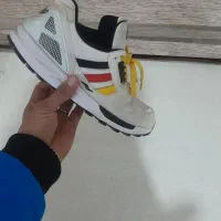 کتانی|کیف، کفش، کمربند|میانه, |دیوار