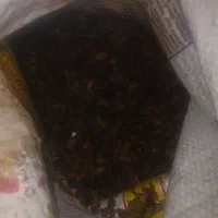 کشمش گله افتابی