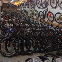 حساب دار خانم