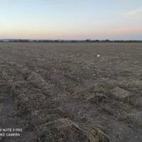 زمین کشاورزی ۵/۵ هکتار اجاره داده می شود