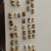 انواع مهره برد بدون سوراخ|جواهرات|یاسوج, |دیوار