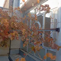 فروش پنجره آهنی|مصالح و تجهیزات ساختمان|اهر, |دیوار