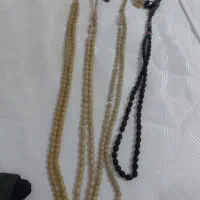 چاقو شکاری|کوهنوردی و کمپینگ|مرودشت, ژیان|دیوار