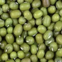 ماش هندی درجه یک|عمده‌فروشی|شوش, |دیوار