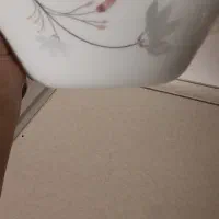 ۲دست آکروپال  اسپانیا|ظروف سرو و پذیرایی|قم, نیروگاه|دیوار