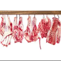 لاشه ی گوساله ی سیمینتال و گیلک