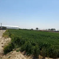 1000متر-زمین-مناسب-باغ