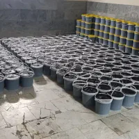 رب انار و رب آلوچه و رب زیتون پرورده