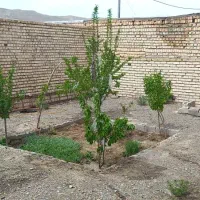 خانه ویلایی|فروش خانه و ویلا|دهق, |دیوار