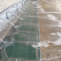 کارگر قالیشویی