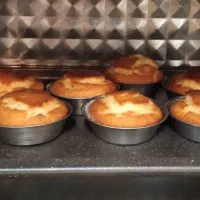 کیک یزدی|خوردنی و آشامیدنی|تهران, وحیدیه|دیوار