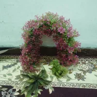 لوازم آکواریوم و آکواریوم