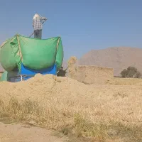 فروش یونجه و کاه سفید|لوازم جانبی حیوانات|شیراز, حومه شیراز|دیوار