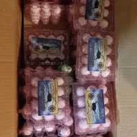 عصاره تولید خراسان واسپری چربی زدا نانوتک|مواد شوینده و دستمال کاغذی|یاسوج, |دیوار