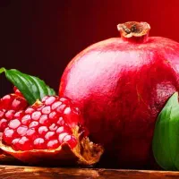 استخدام طراح و نقاش در کارگاه سفالگری