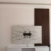 تی وی وال|مصالح و تجهیزات ساختمان|کرمان, |دیوار