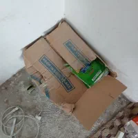 دستکش یک باره مصرف یک کارتون|مواد شوینده و دستمال کاغذی|زاهدان, |دیوار