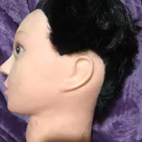 فروش کله مانکن|فروشگاه و مغازه|شیراز, تاچارا|دیوار