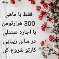 آرایشگر در همه ی لاینها