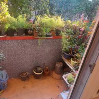 یک واحد آپارتمان متراژ ۱۲۳ متر ۲ نبش