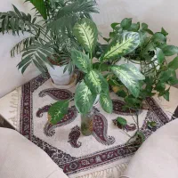 مبل|مبلمان خانگی و میز عسلی|تهران, تاکسیرانی|دیوار