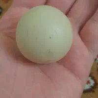 سنگ الماس اسیاب