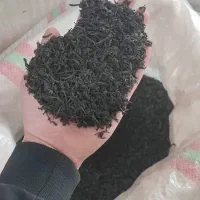 عرضه چای قلم بهاره