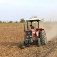 ۴هکتار زمین کشاورزی جاده سد دز