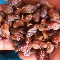 کشمش مویز آفتابی|خوردنی و آشامیدنی|نجفآباد, حومه نجف آباد|دیوار