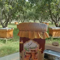 عسل کنار ( اعلاء)