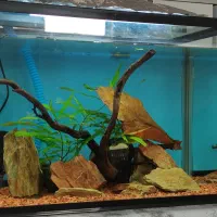 آکواریوم شیشه خم با لوارم در حد نو