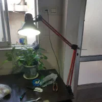 چراغ مطالعه