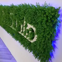 شکوفه گل مصنوعی. درتخچه مصنوعی  آکاردوئی|گل مصنوعی|کرج, کمال‌شهر|دیوار